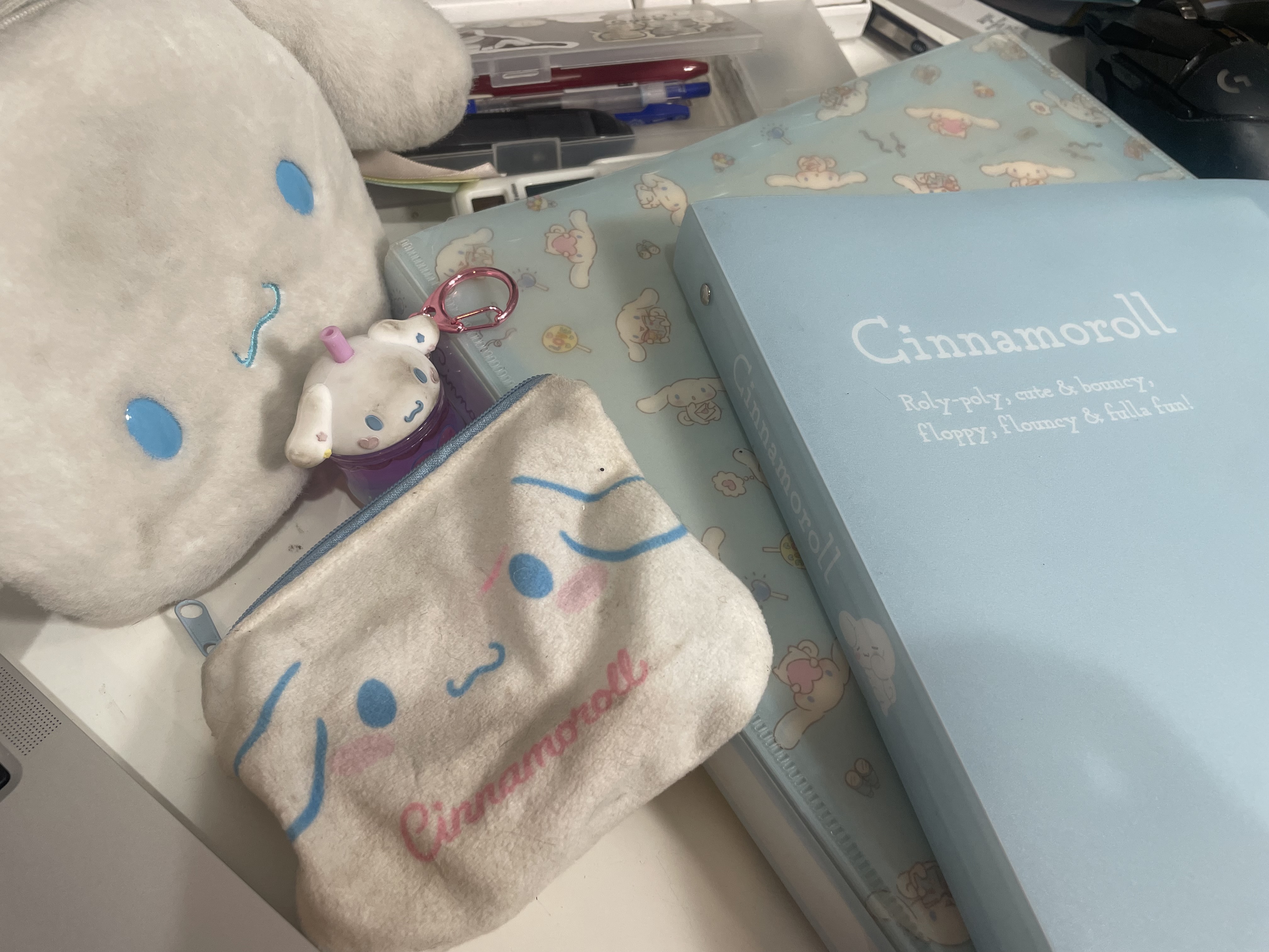 cinnamoroll pouches, binders, keychain